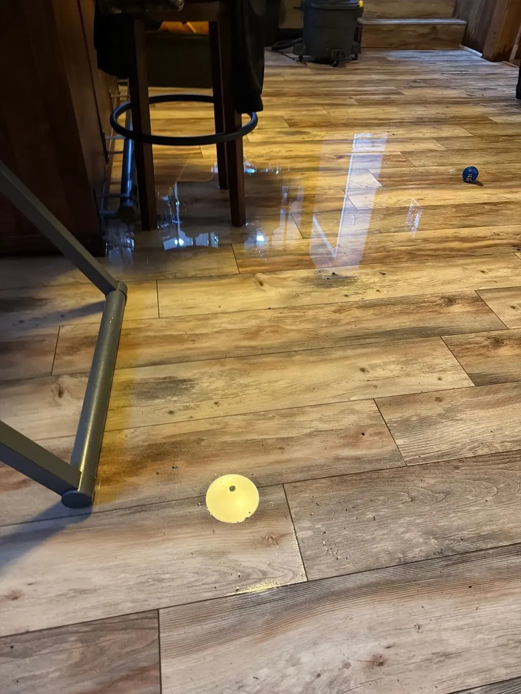 Thermal imaging during water damage assessment in Geist residence