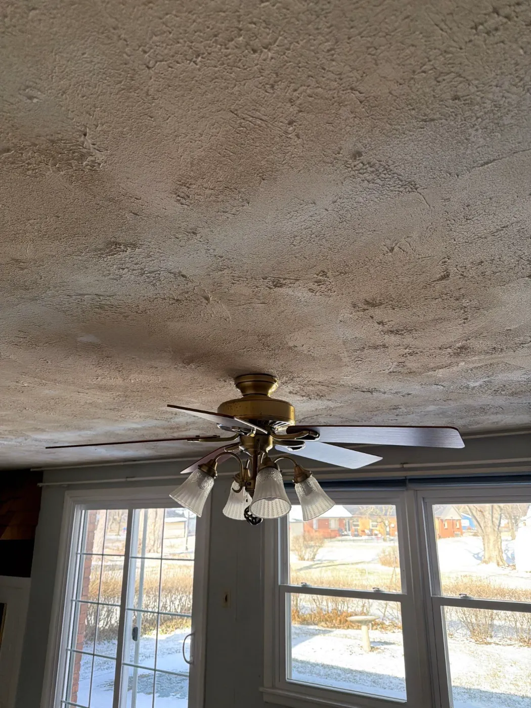 Category 3 sewage cleanup in Geist basement